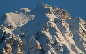 DSC_0044    