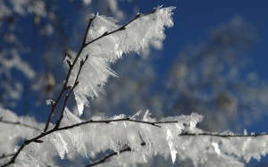 DSC_0077    